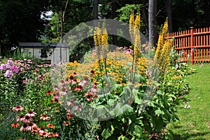 Cottage garden scene