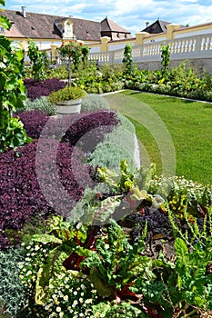 Cottage garden Schlosshof planted with perennials, vegetables and grape wine