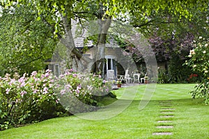 Flowering Cottage Garden and patio on hot summer d photo