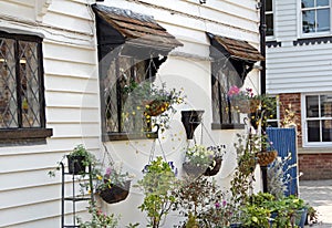 Cottage hanging baskets flowers