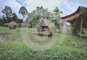 Cottage house, pond, thatched gazebo, thatched pavilion, rural field, wooden terrace in front of the cottage