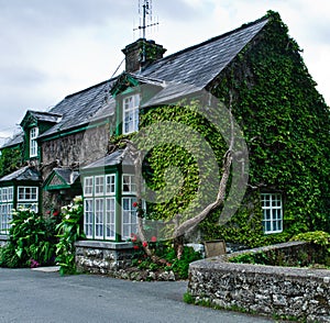 Cottage in Ireland
