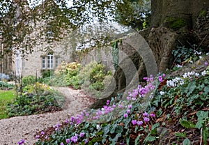 Cottage in its own ground, in the rural Somerset town of Bruton, UK.