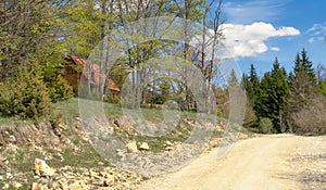 A cottage near the unpaved road.Village scenary image. photo