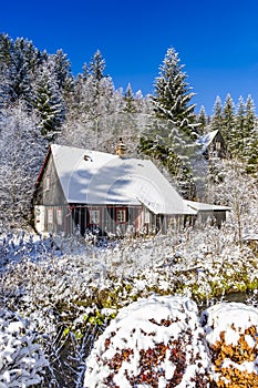 Cottage in Orlicke hory, Eastern Bohemia, Czech Republic