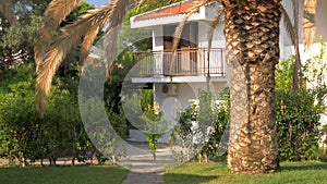 Cottage with palm tree in the garden, summer scene