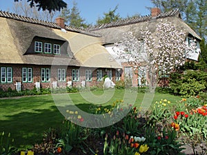 Cottage with reed roof