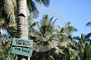 Cottage for rent sign palm trees