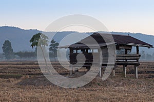 Cottage in the rice fields in Thailand