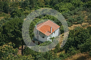 Cottage roof among trees and farmed fields