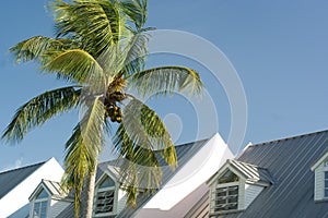 Cottage roofs