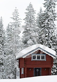 Cottage in Sweden