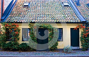 Cottage with tile roof