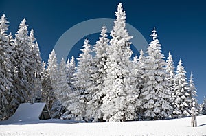 Cottage under snow in winter forest