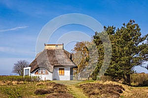Cottage between Vitte and Neuendorf on the island Hiddensee, Germany