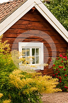 Cottage window surrounded by vegetation. Sweden