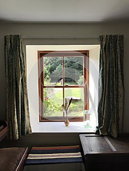 Cottage window view of forest in Inverness Scotland, United King