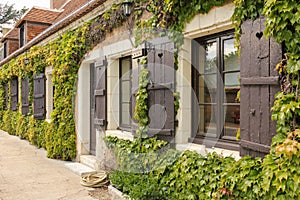 Cottage windows surrounded by ivy. Chenonceau. France