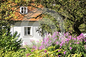 Cottage windows surrounded by vegetation. Poland