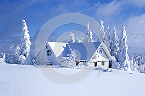 Cottage in winter