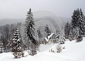 Cottage in winter, Kopaonik, Serbia