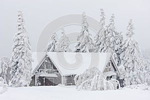 cottage in winter, Orlicke mountains, Czech Republic