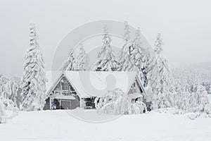 cottage in winter, Orlicke mountains, Czech Republic