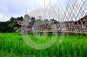 Cottage and wooden walkways in rice field at Sila Laeng, Pua District, Nan