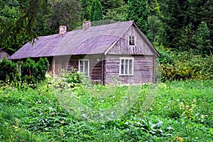 Cottage in the woods