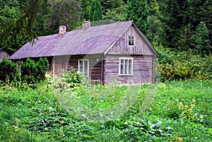 Cottage in the woods photo