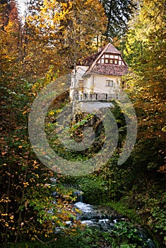 Cottage in the woods near a creek