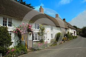 Cottages in Abbotsbury