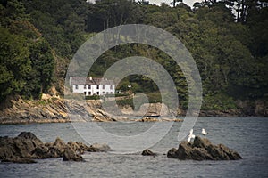 Cottages on the coast