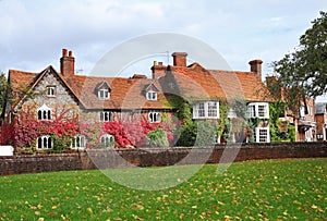 Cottages on an English Village Street