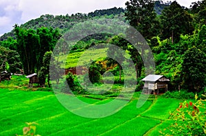 The cottages are in thr rice terraces at Ban Huwi Hom , Ban Chan , Mae Cheam , Chiang Mai