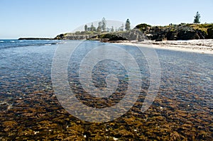 Cottesloe Beach - Perth - Australia