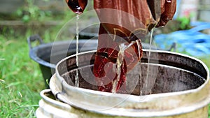 Cotton being dyed manually in process of making Indonesian Batik