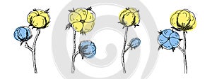 Cotton blue-yellow flower, Bavovna floral branch,fiber of plant origin. Hand-drawn symbol of Ukraine\'s military