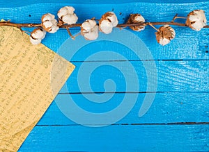 Cotton branch on a blue painted plank and a partiture of music photo