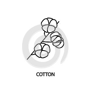 Cotton branch line icon vector . Gossypium hirsutum