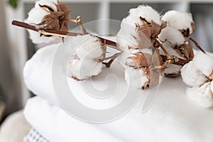 Cotton branch with pile of folded bed sheets and blankets