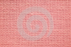 Cotton fabric of plain weave