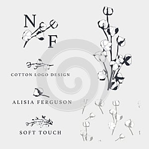 Cotton flower vector hand drawn Logo templates, branding.
