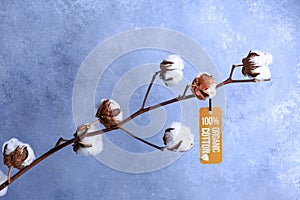 Cotton flowers with label organic concept on grey