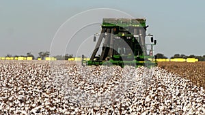 Cotton harvester