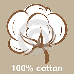 Cotton icon photo