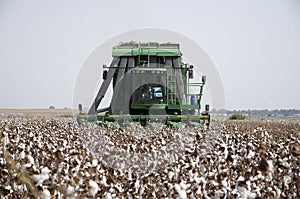 Cotton picker photo