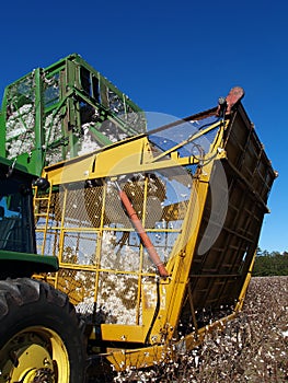 Cotton Picker Dumping