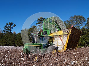 Cotton Picker Dumping photo