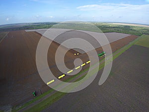 Cotton Pickers photo